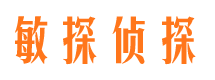 白塔市侦探公司